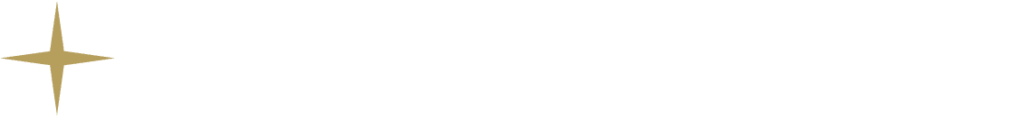 DomiNite logo